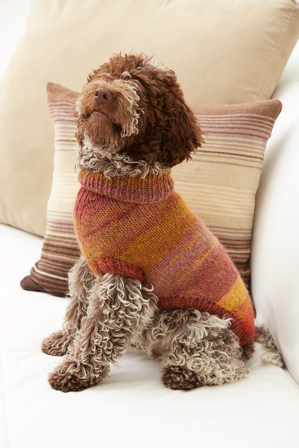 Amazing® Yarn - Discontinued - Image 2
