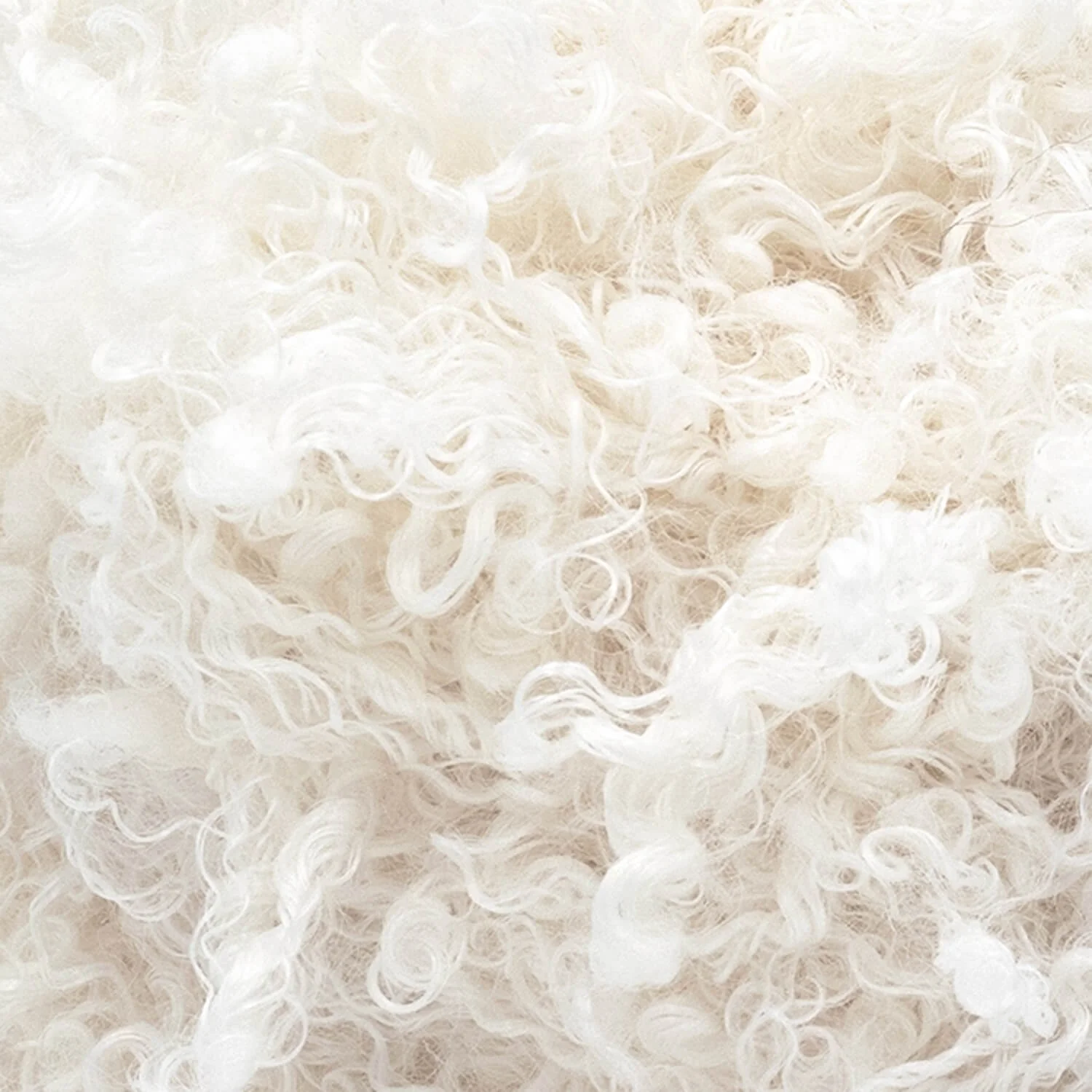 Haute Stitches Shaggy Chic - Image 5