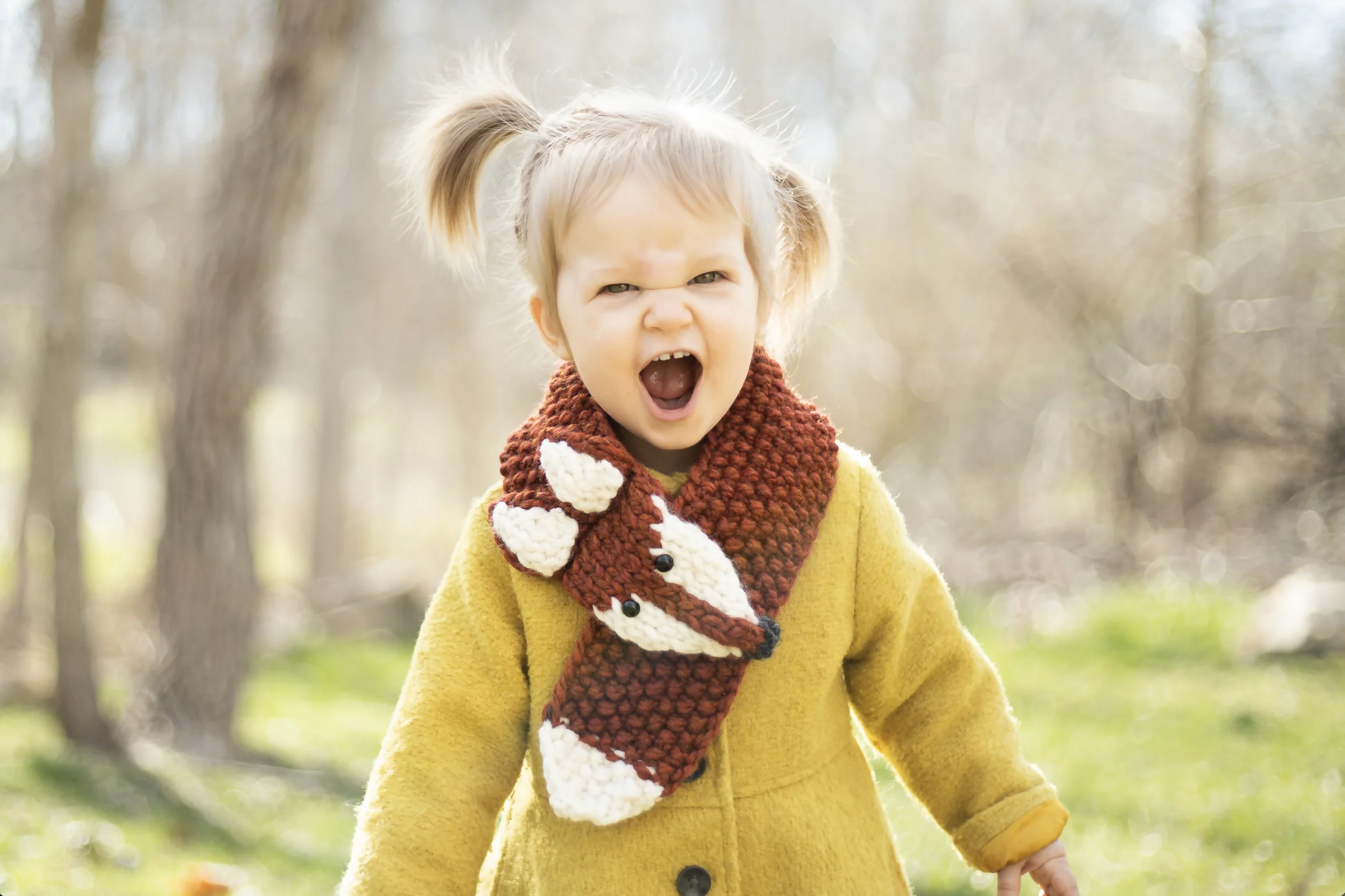 Mr. Fox Scarf (Knit) - Image 2