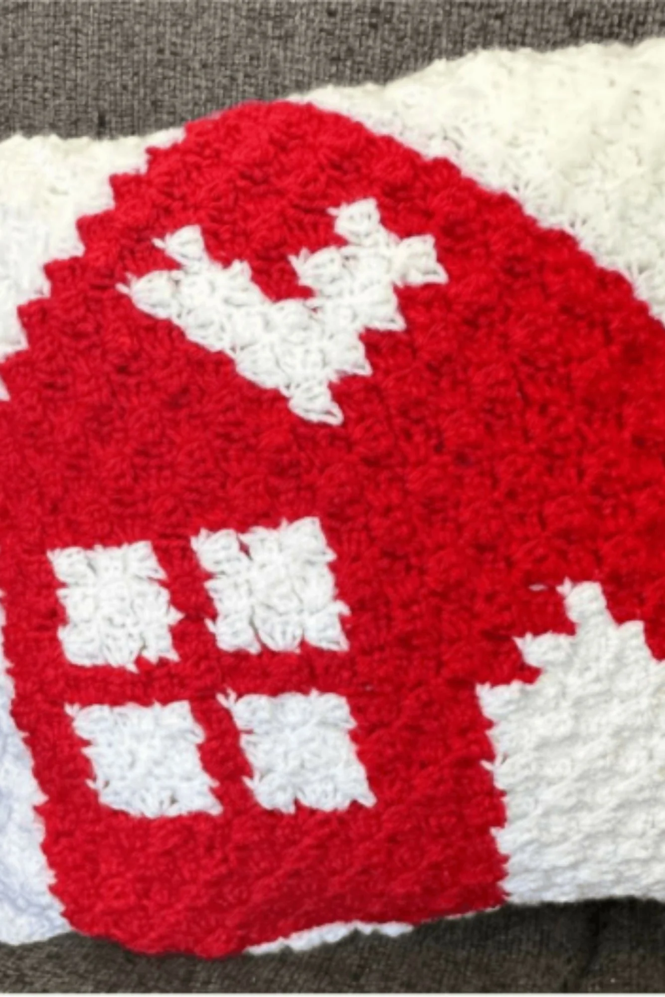 Nordic Cottage Pillow (Crochet)