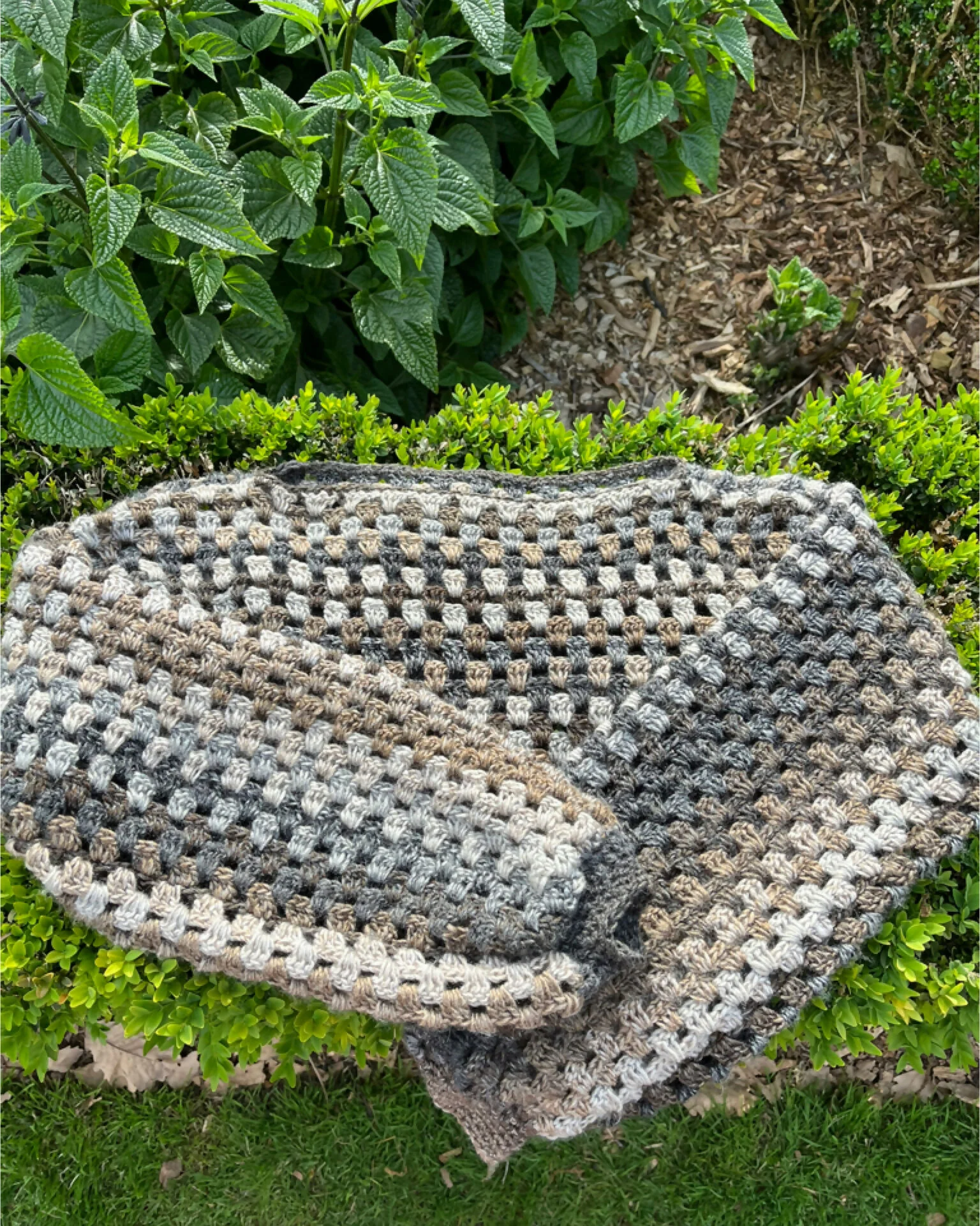 Poppet Shrug (Crochet) - Image 2