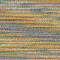 Wool-Ease® Hand Dyed Yarn - Discontinued - Image 26